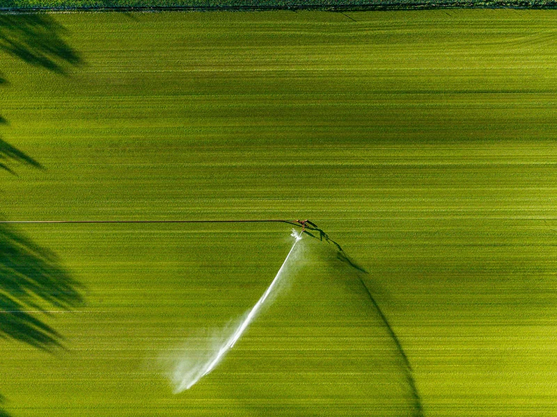 Irrigation field deployment detail