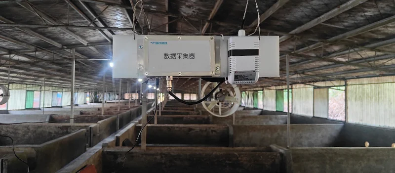 Smart Pig Farm
