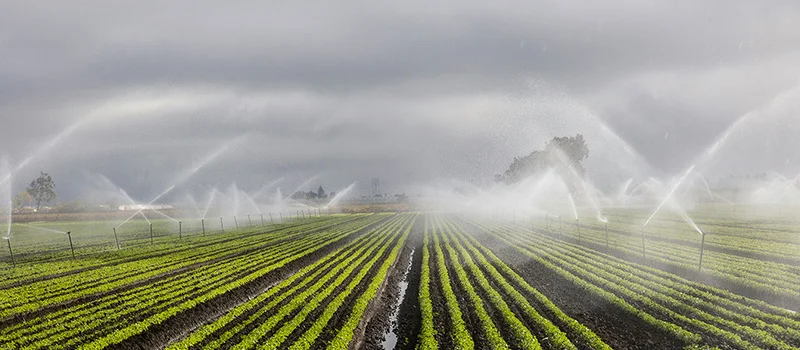 Wireless Smart Irrigation