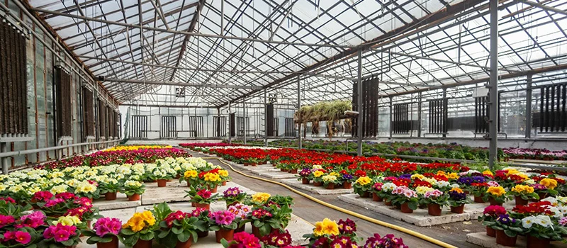 Smart Greenhouse